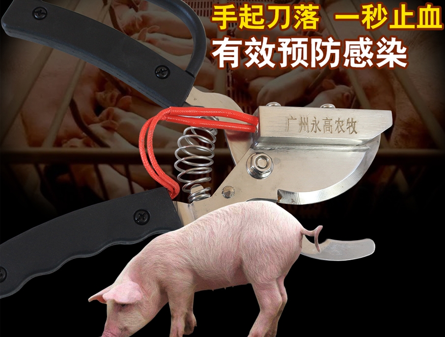 牧斯德仔豬斷尾鉗，電熱斷尾鉗，牧斯德獸用器械