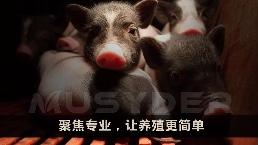 牧斯德聚焦專業(yè)，讓養(yǎng)殖更簡單